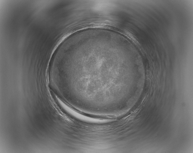 X0000059090891200510101141