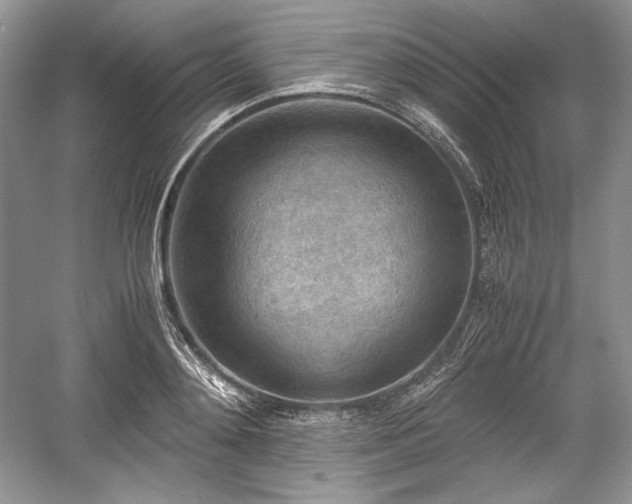 X0000059090892200510101141