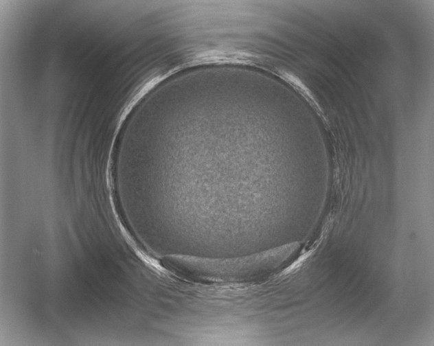 X0000059090893200510101141