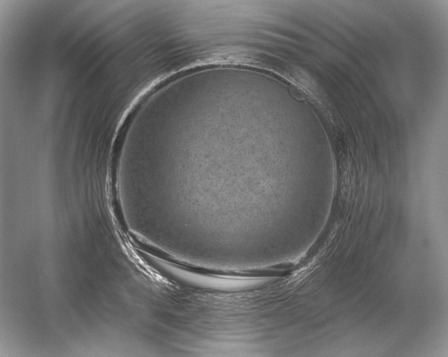 X0000059090896200510101141