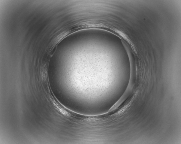 X0000059090897200510101141