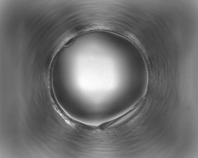 X0000059090898200510101141