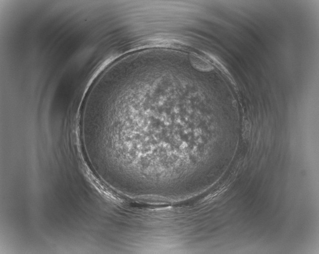 X0000059090899200510101141