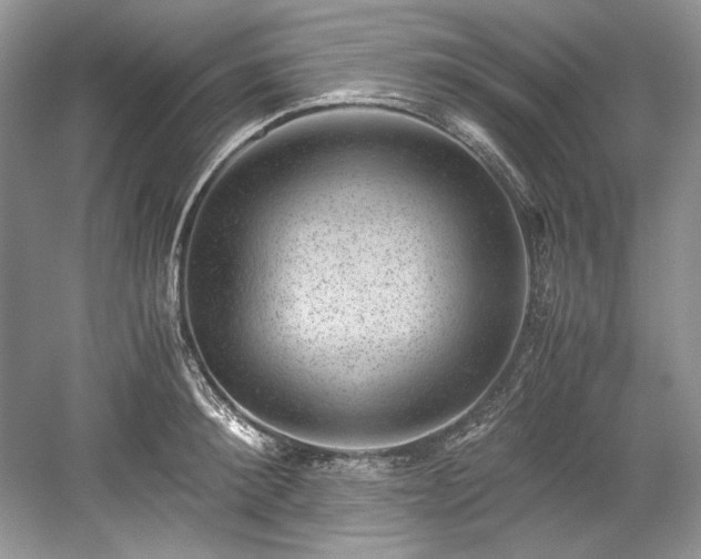 X0000059090900200510101141