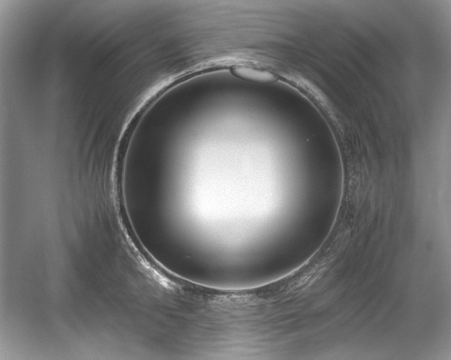 X0000059090902200510101141