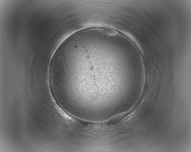 X0000059090903200510101141