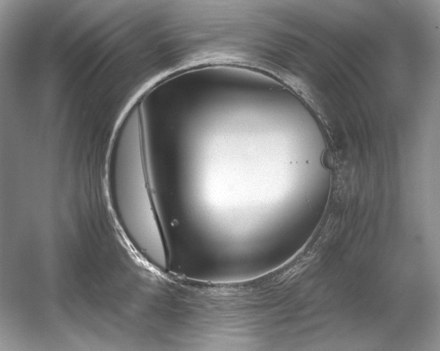 X0000059090904200510101141