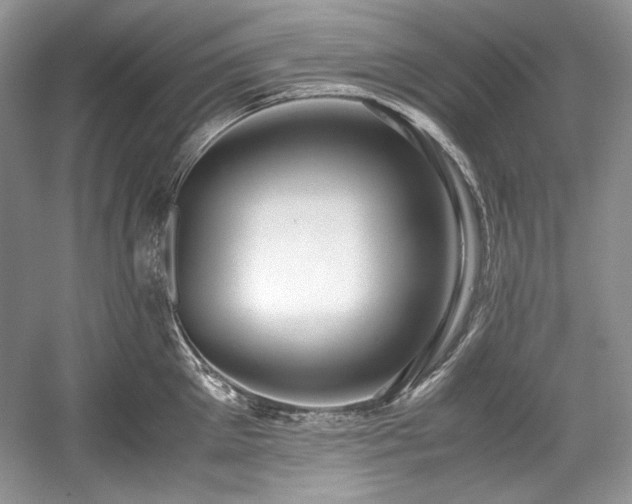 X0000059090905200510101141