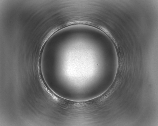 X0000059090906200510101141