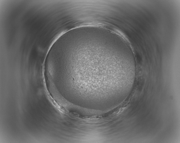 X0000059090907200510101141