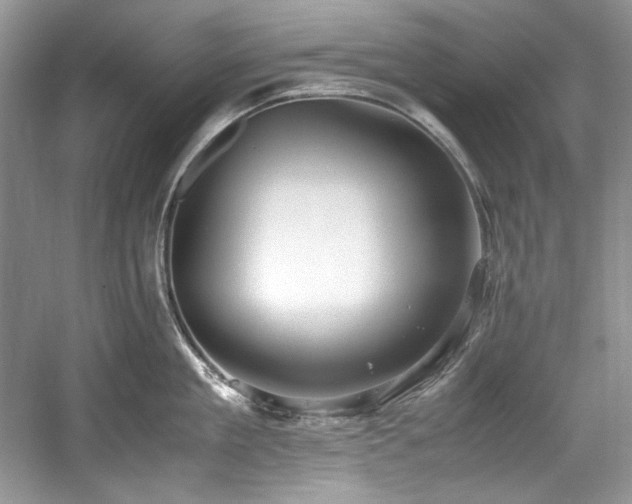 X0000059090909200510101141