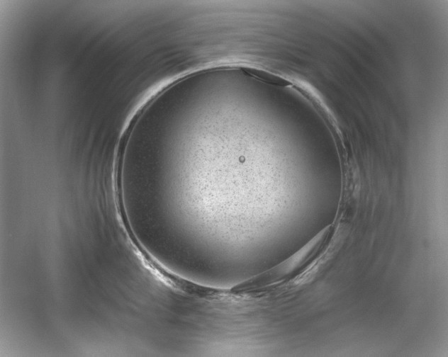 X0000059090910200510101141