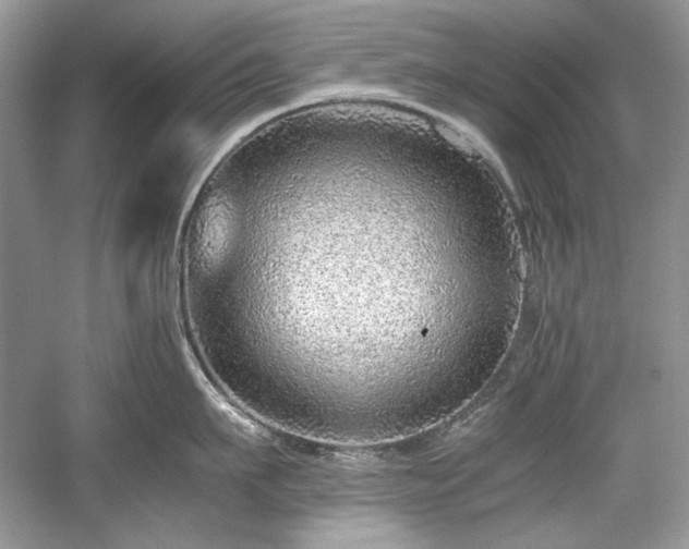 X0000059090911200510101141