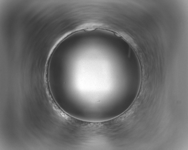 X0000059090912200510101141