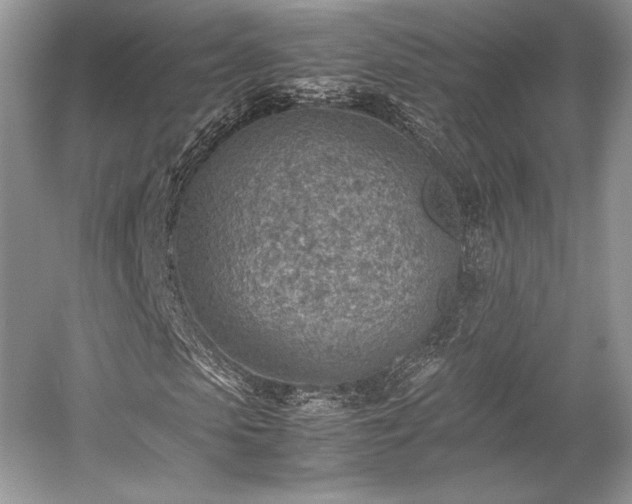 X0000059090913200510101140