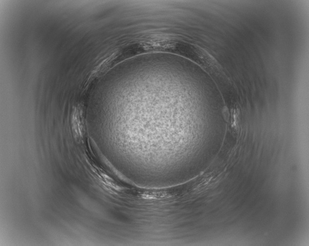 X0000059090915200510101140