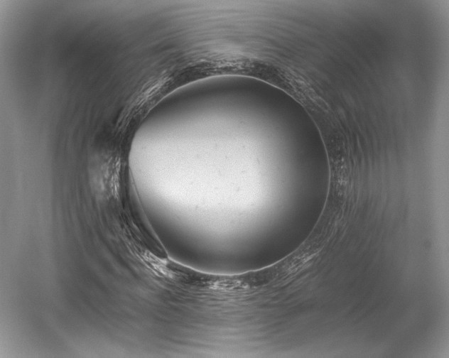 X0000059090916200510101140