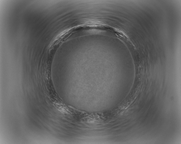 X0000059090919200510101140