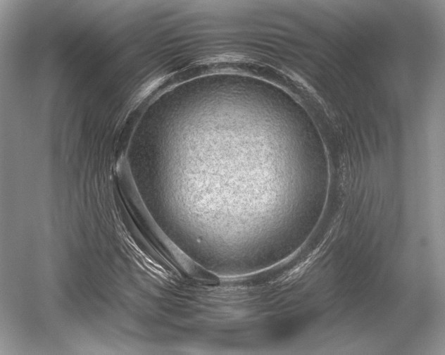 X0000059090921200510101140