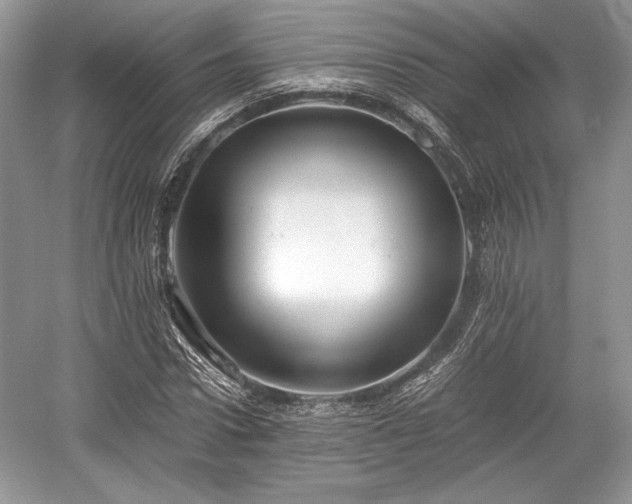 X0000059090922200510101140