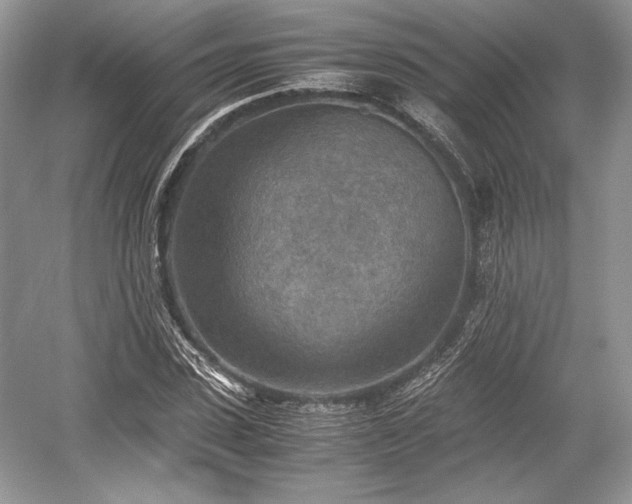 X0000059090923200510101140