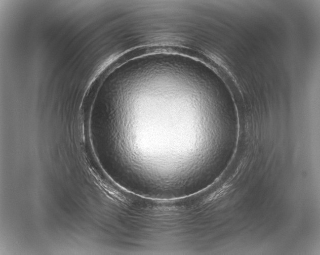 X0000059090925200510101140