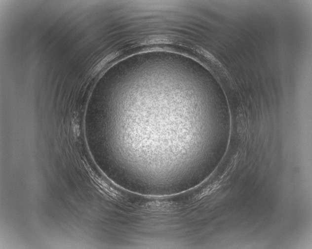 X0000059090929200510101140