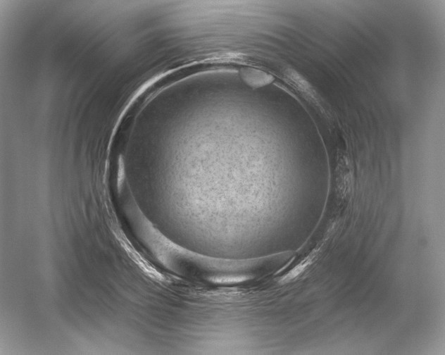 X0000059090932200510101140