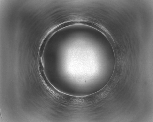 X0000059090935200510101141