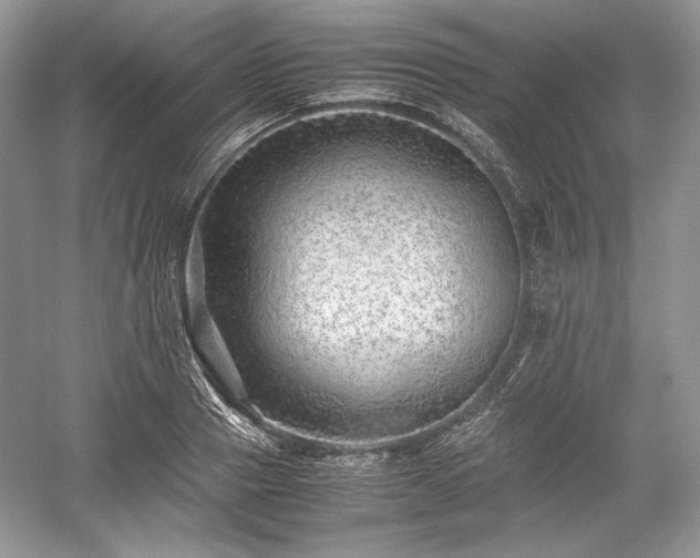 X0000059090937200510101141