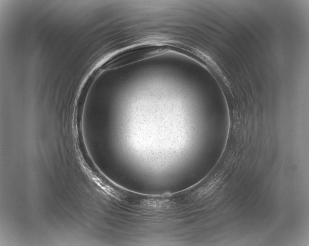 X0000059090939200510101141