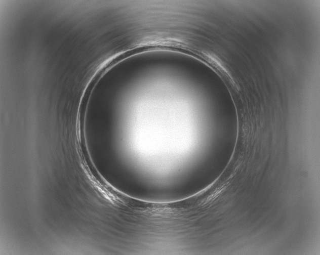 X0000059090940200510101141