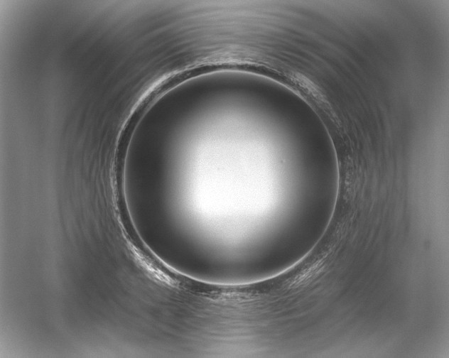 X0000059090942200510101141