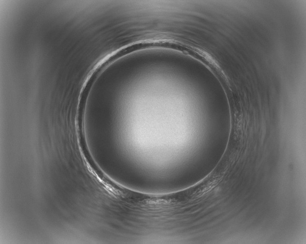 X0000059090943200510101141