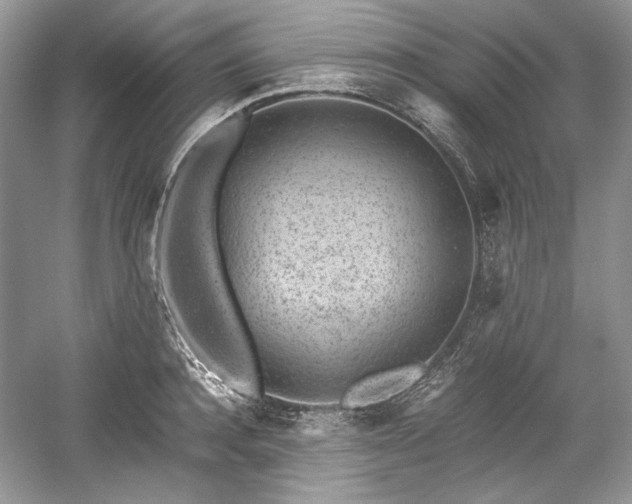 X0000059090944200510101141