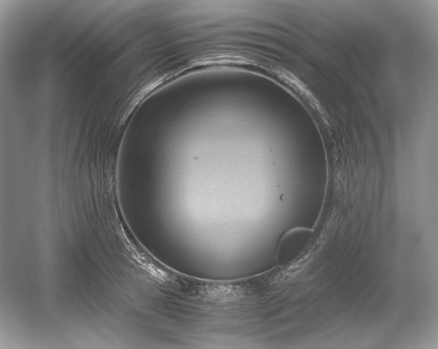 X0000059090945200510101141