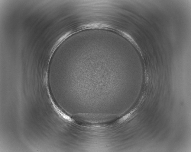 X0000059090946200510101141