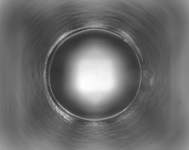 X0000059090947200510101141