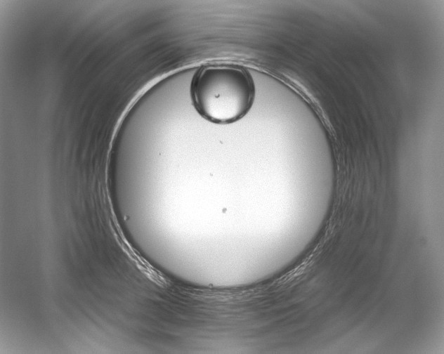 X0000059090948200510101141