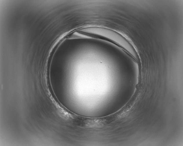 X0000059090949200510101141