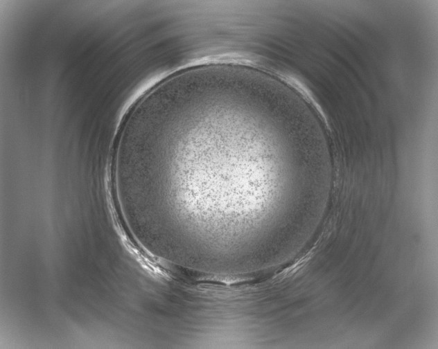 X0000059090952200510101141