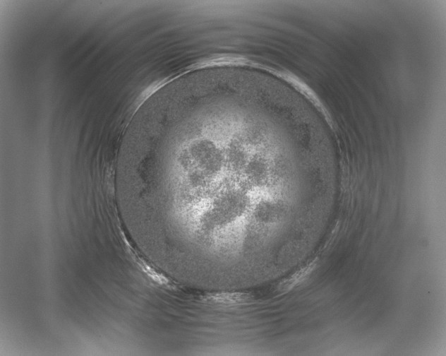 X0000059090953200510101141