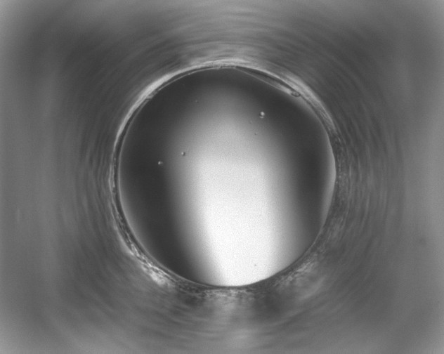 X0000059090956200510101141