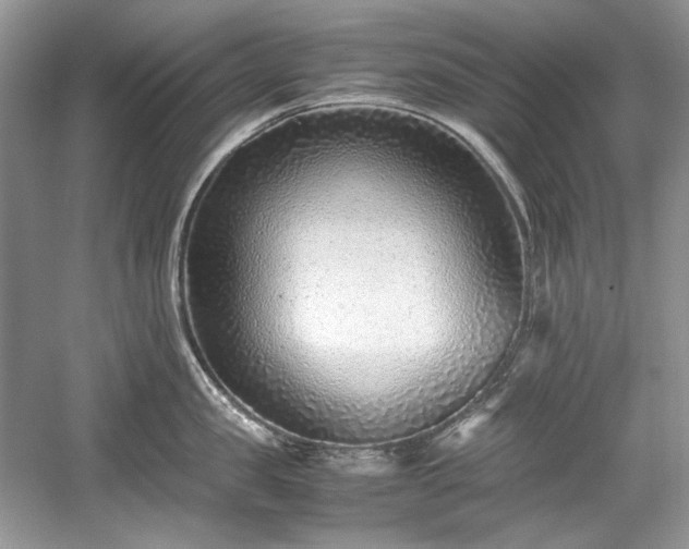 X0000059090957200510101141