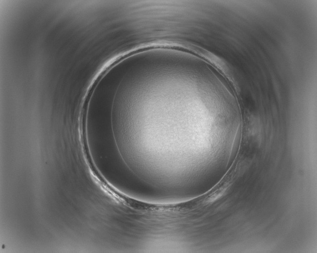 X0000059090958200510101141