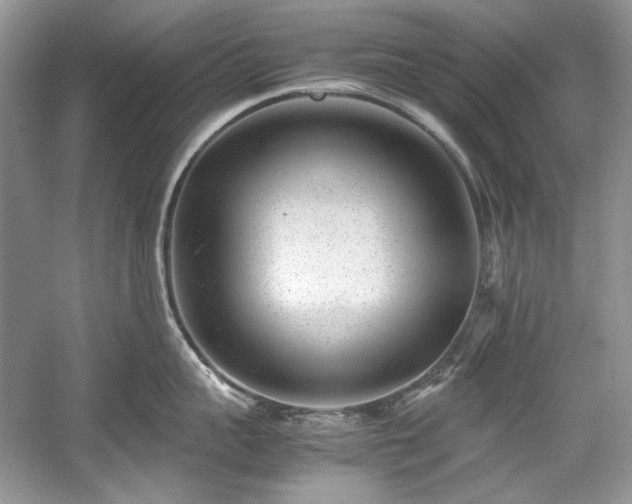 X0000059090959200510101141