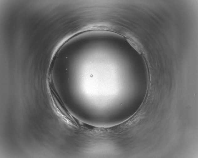 X0000059090960200510101141