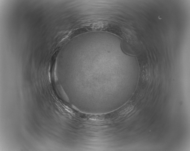 X0000059090962200510101140