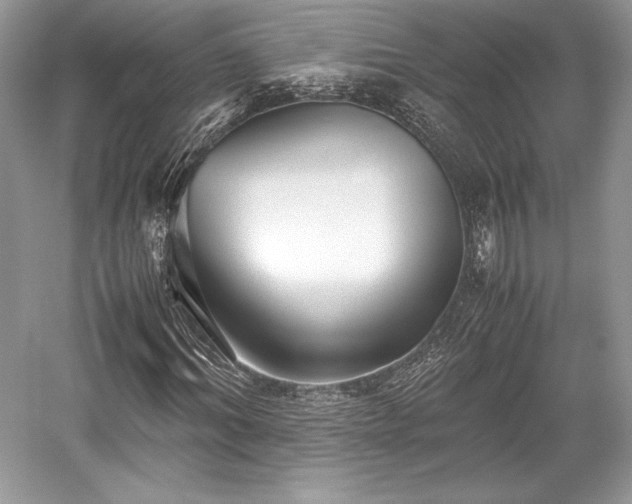 X0000059090964200510101140