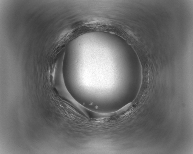 X0000059090965200510101140